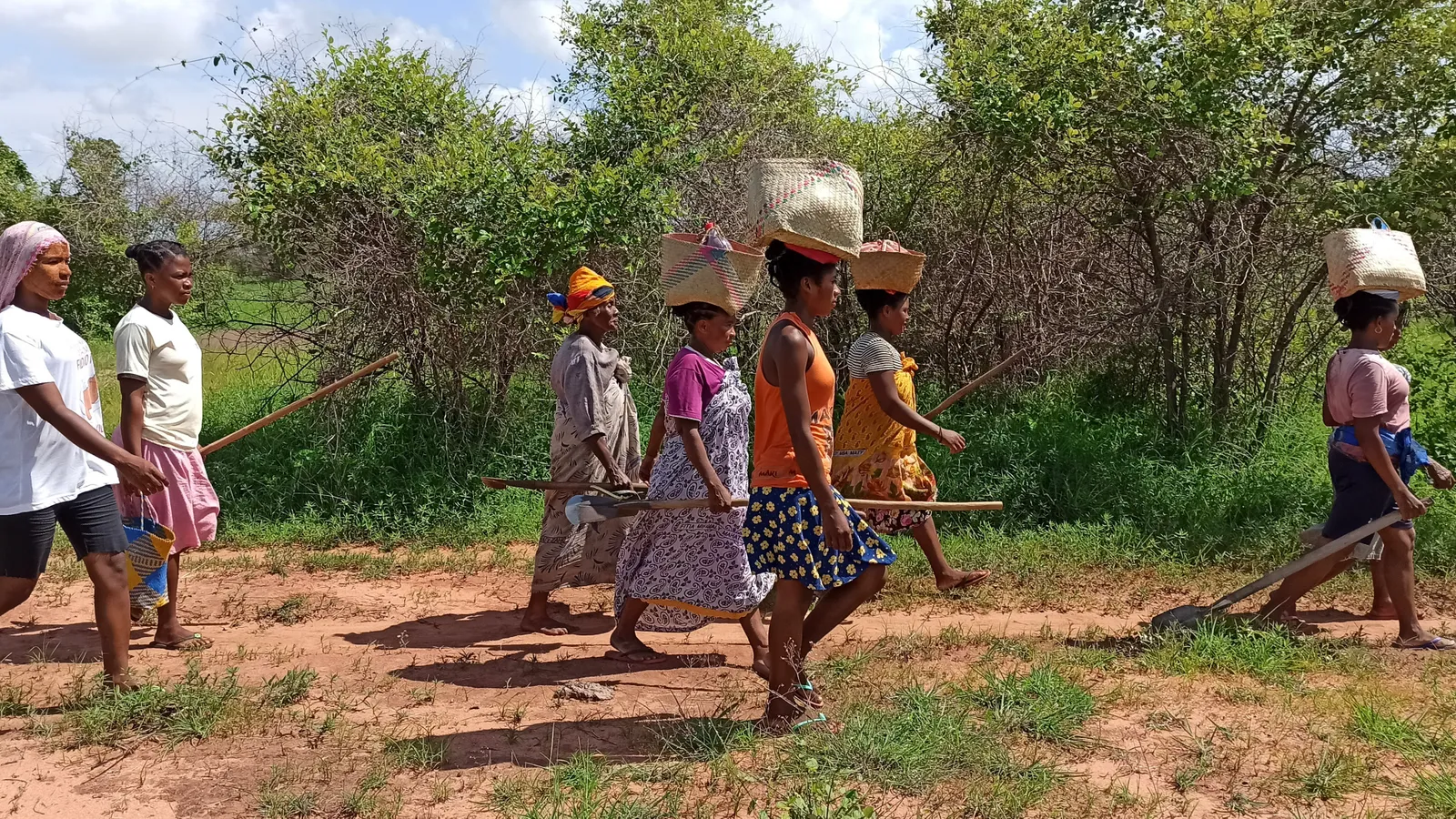 Reforestation project in Madagascar